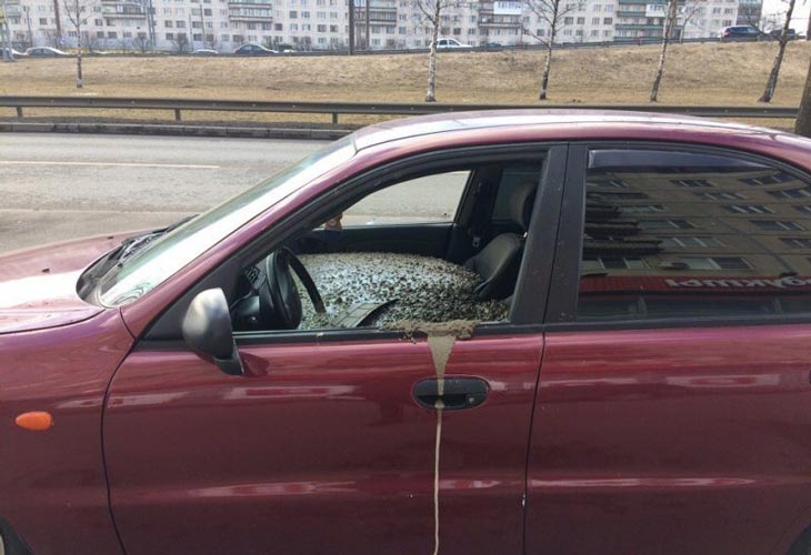Муж залил бетоном машину своей жены… Не поверите, что послужило причиной такого поступка!