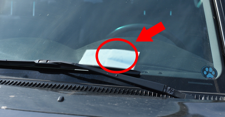 Если вы заметили крупную купюру на лобовом стекле своего авто – немедленно езжайте прямо в отделение полиции!