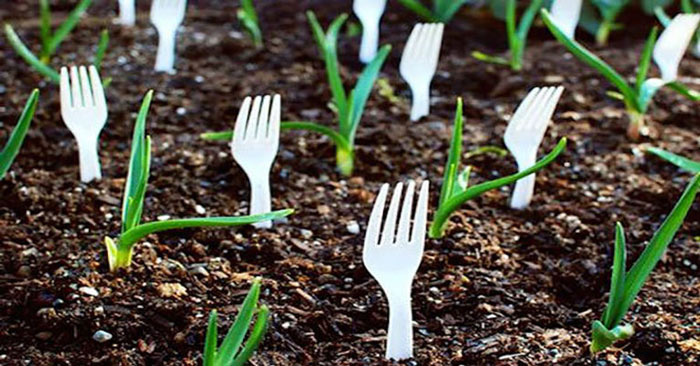 Вот зачем нужно втыкать в землю вилки! 5 реальных способов сделать свой сад лучше
