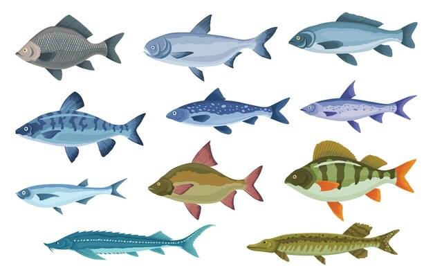 Виды и виды рыб различные пресноводные рыбы нарисованные от руки цветные иллюстрации морских и внутренних рыб промысловые виды рыб