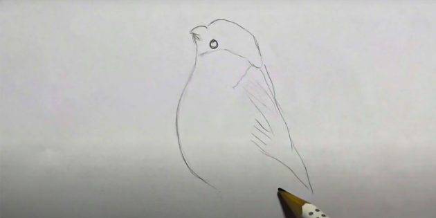 Как нарисовать снегиря фломастерами, карандашами или красками