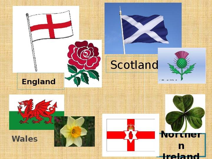 Символы частей Англии. Цветочные символы Великобритании. Символы Англии Шотландии Уэльса и Северной Ирландии. Национальные символы Великобритании.