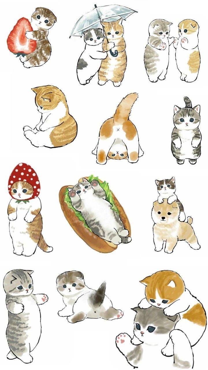 котики стикеры коты милые пикчи