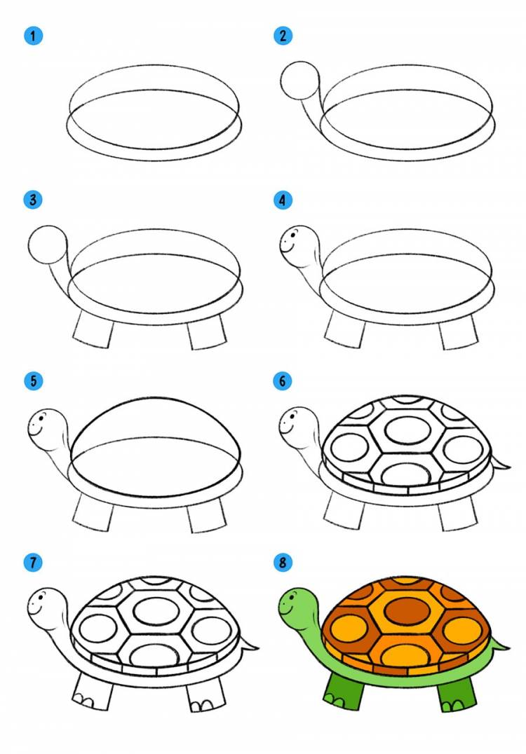 Как нарисовать черепаху видео уроки для детей » Рисуем черепашку поэтапно при помощи видеоуроков