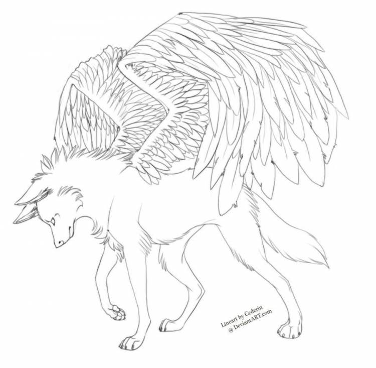 Волк с крыльями рисунок для срисовки
