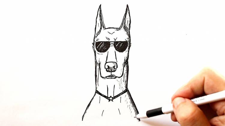 How to draw a Dog