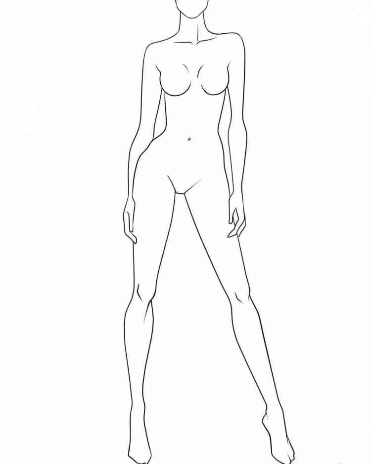 Тело женщины рисунок