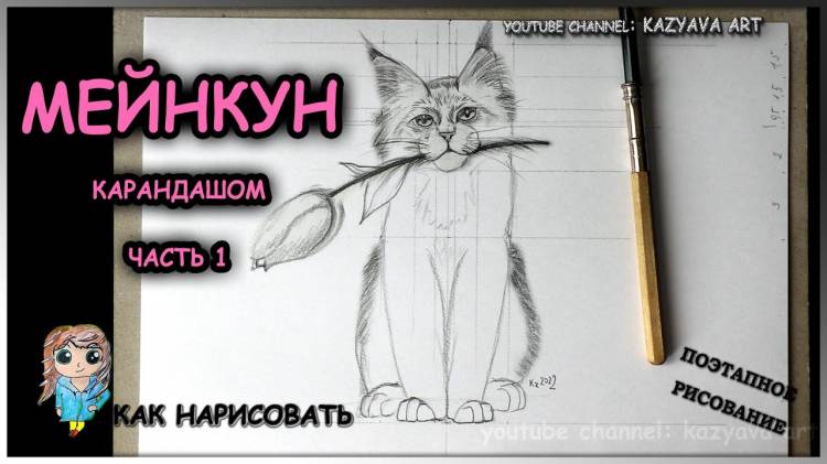 Как нарисовать котенка породы МЕНКУН карандашом поэтапно