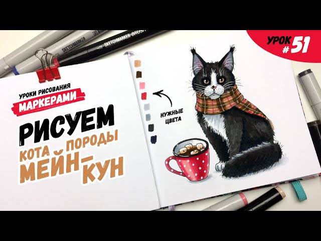 Как нарисовать кота породы мейн