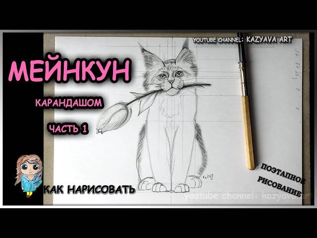 Как нарисовать котенка породы МЕНКУН карандашом поэтапно