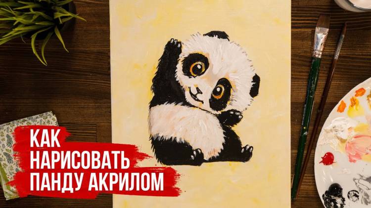 Как нарисовать панду акрилом поэтапно