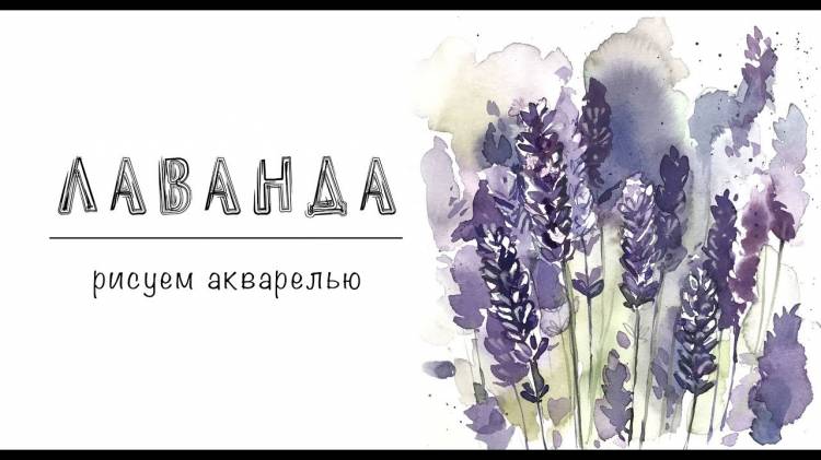 ЛАВАНДА