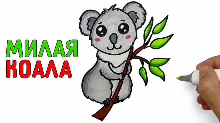 how draw Koala on tree