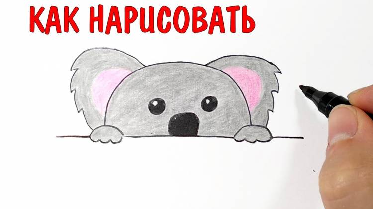 Как нарисовать КОАЛУ мило и просто