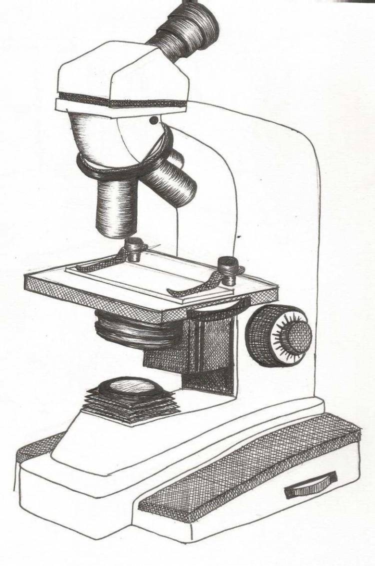 Как нарисовать микроскоп карандашом