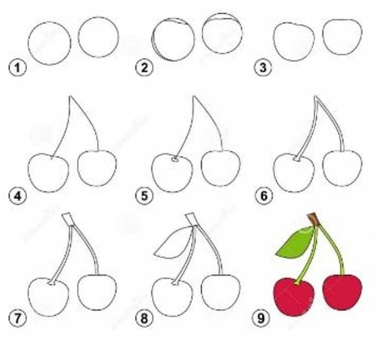 Вишня рисунок для детей поэтапно 