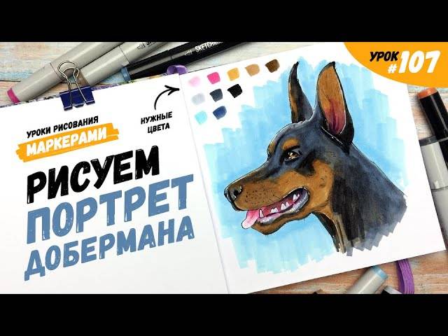 Как нарисовать добермана?