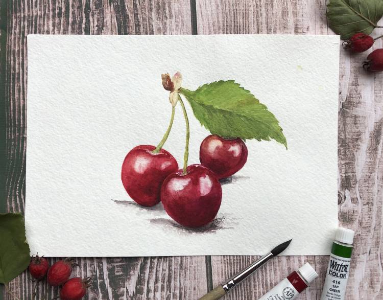 Вишня черешня cherry