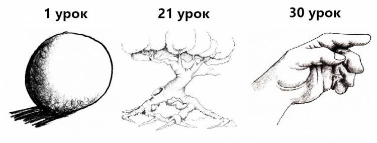 Уроки рисования карандашом с нуля