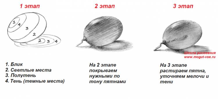 Как научиться рисовать карандашом поэтапно, уроки рисования для начинающих пошагово