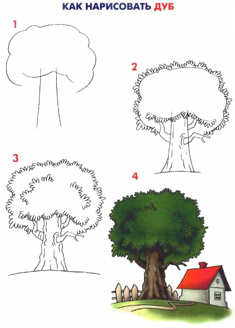 Как нарисовать дерево карандашом