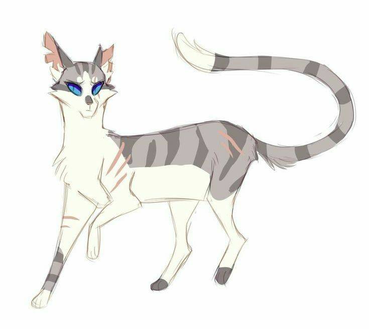 Cat Warriors-Коты Воители Ivypool-Искра❤