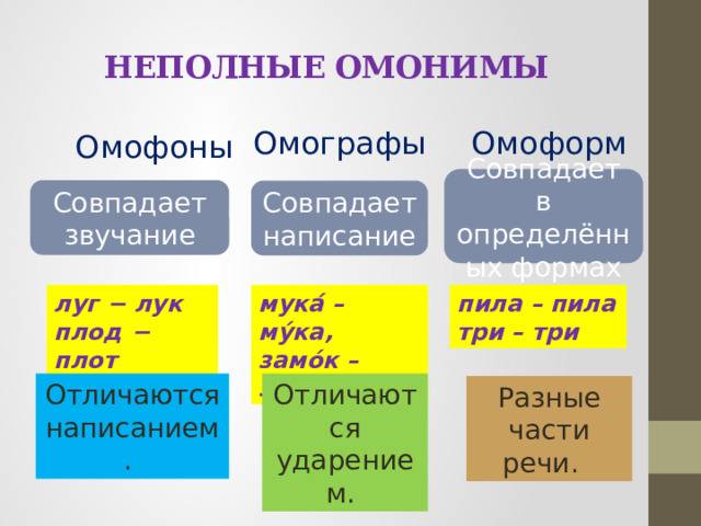 Презентация Омонимы