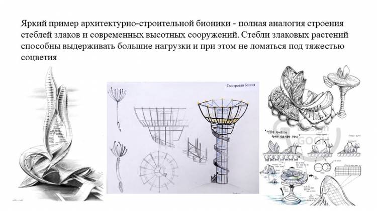 Презентация Бионика для