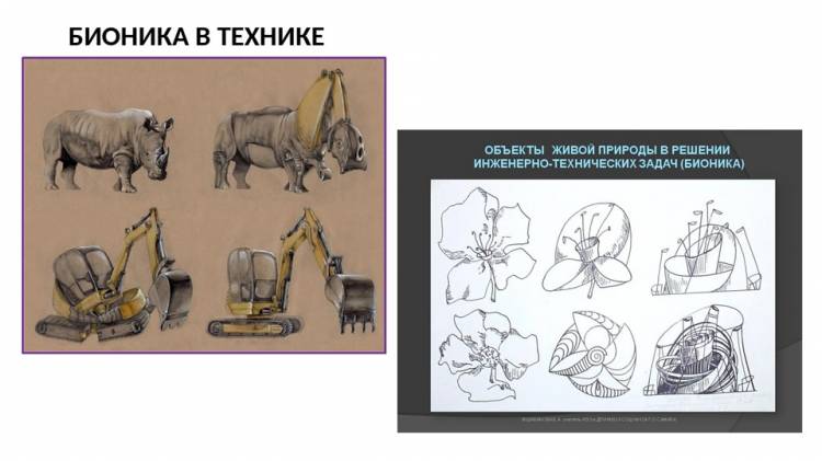 Презентация Бионика для