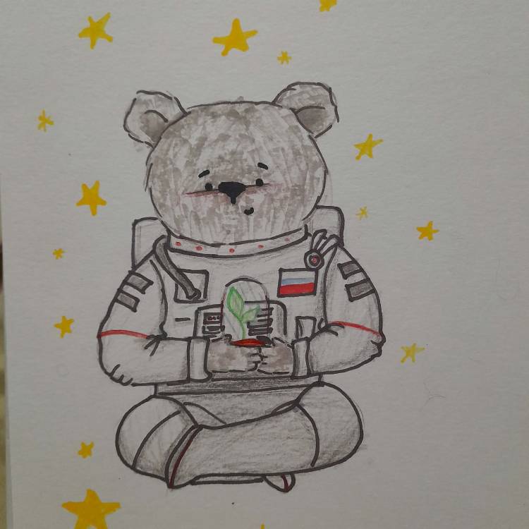 Мишку в космосе нарисовала школьница из Череповца для всероссийского конкурса