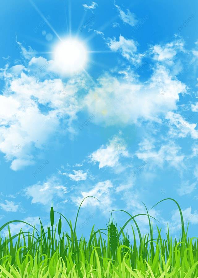 Весенний солнечный день светового эффекта травы фон Обои Изображение для бесплатной загрузки