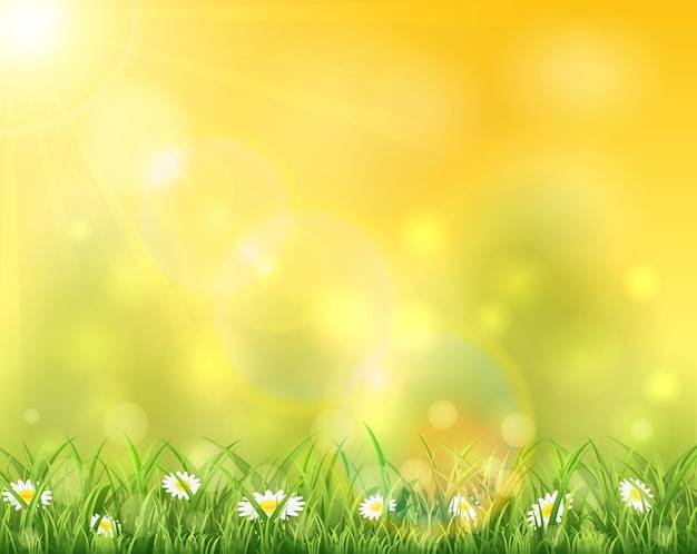 Весенний или летний фон, солнечный день с цветами и травой, иллюстрация