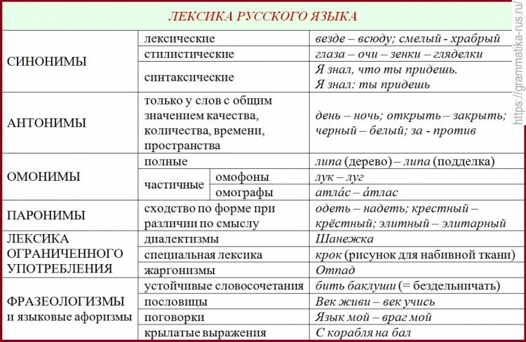 Лексика русского языка