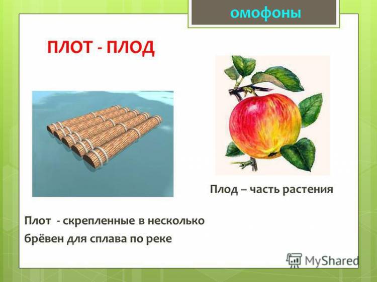 Презентация на тему