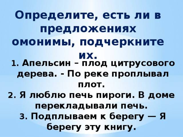 Презентация Омонимы