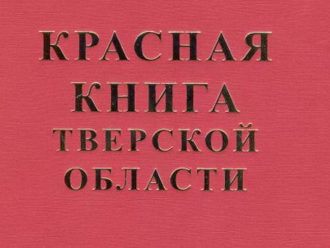 В Тверской области проходит онлайн-голосование за лучший детский рисунок на тему Красная книга глазами детей