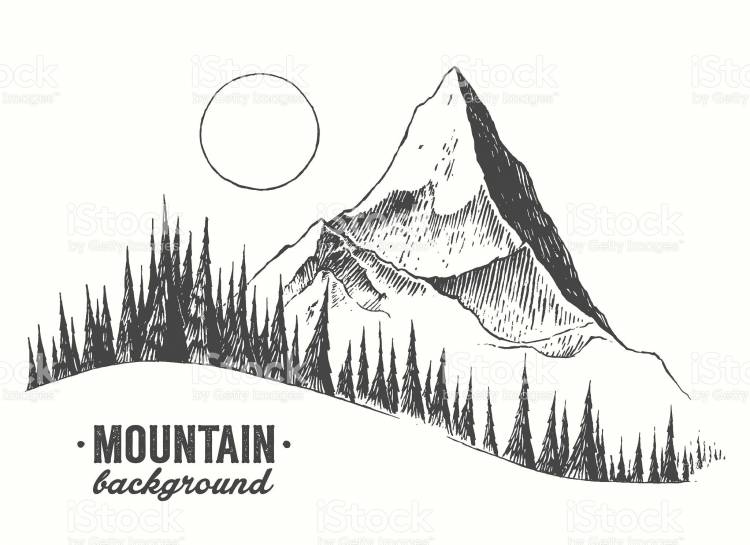 Fir forest background with contours of the mountains hand drawn