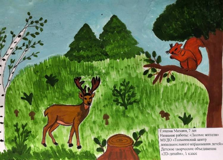 Рисунок на тему лес наше богатство