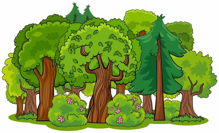 Детский рисунок деревья в лесу