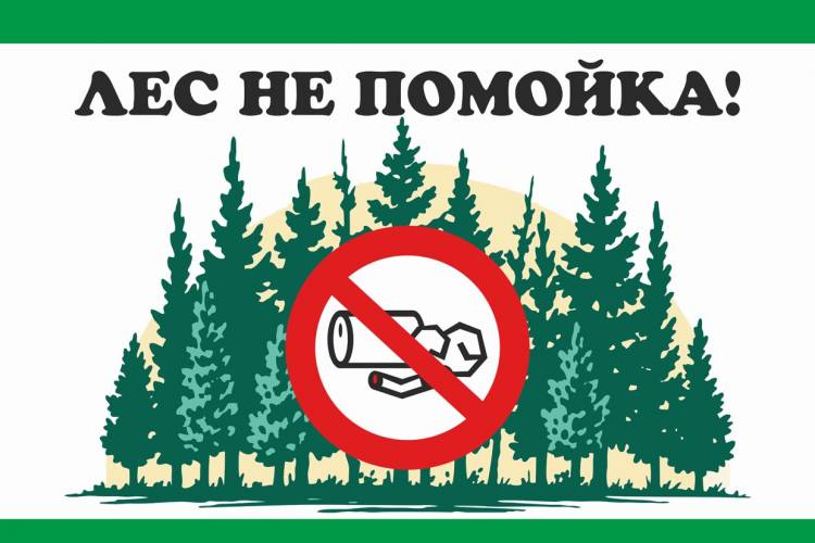 Плакат на тему Берегите лес (арт