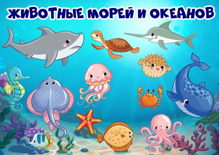 Картинки Морские обитатели для детей 