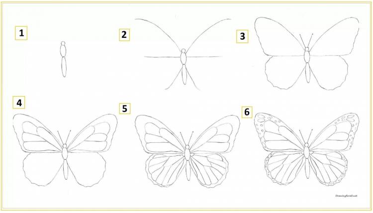 Бабочка рисунок по шагам
