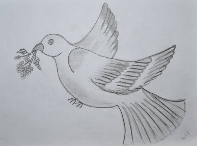 Легкий рисунок голубя