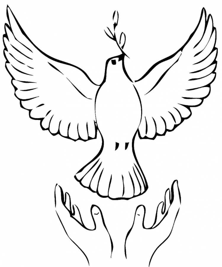 Эскиз рисунка голубь мира 