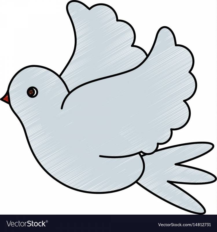 Рисунок голубя для детей