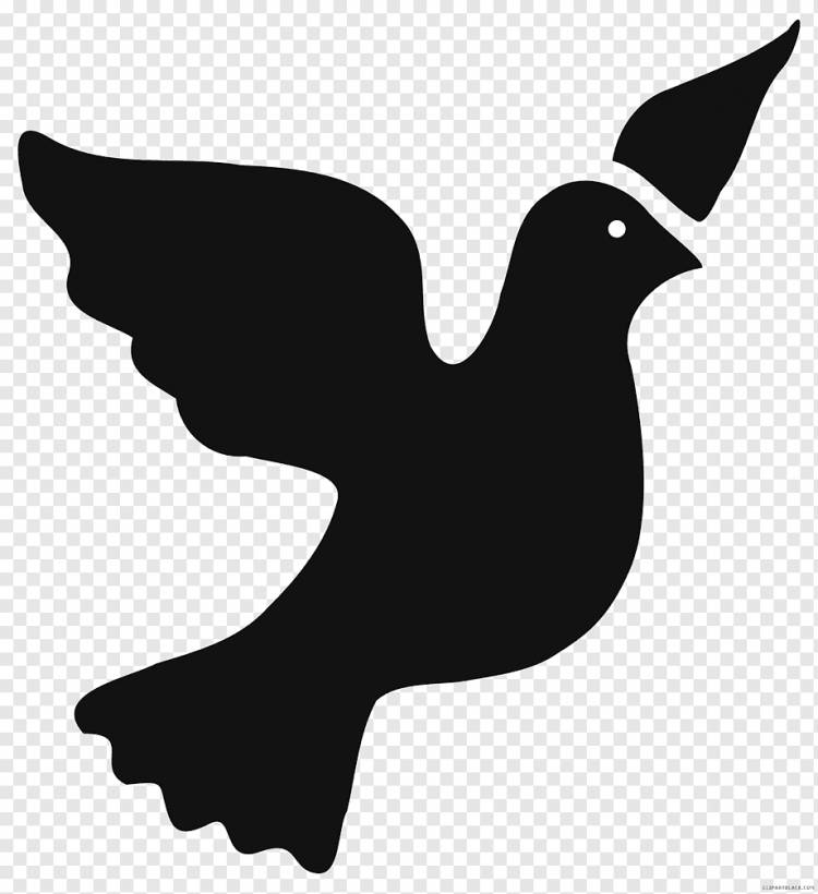 Силуэт птицы, голуби и голуби, рисунок, мир, клюв, черно-белый, клюв, птица, Черное и белое png