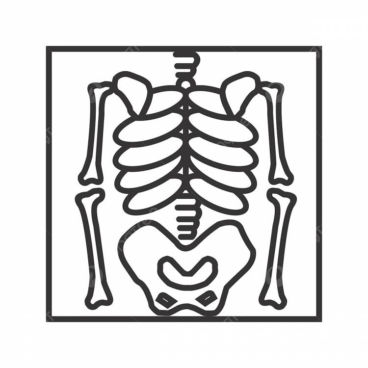 рисунок скелет линии черный значок PNG , кости, прав, скелет человека PNG картинки и пнг рисунок для бесплатной загрузки