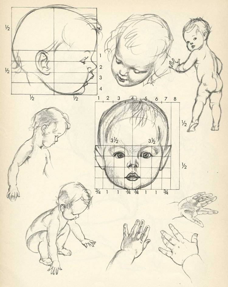Пропорции детского лица рисунок
