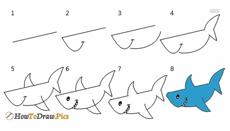 Акула рисунок для детей простой поэтапно 