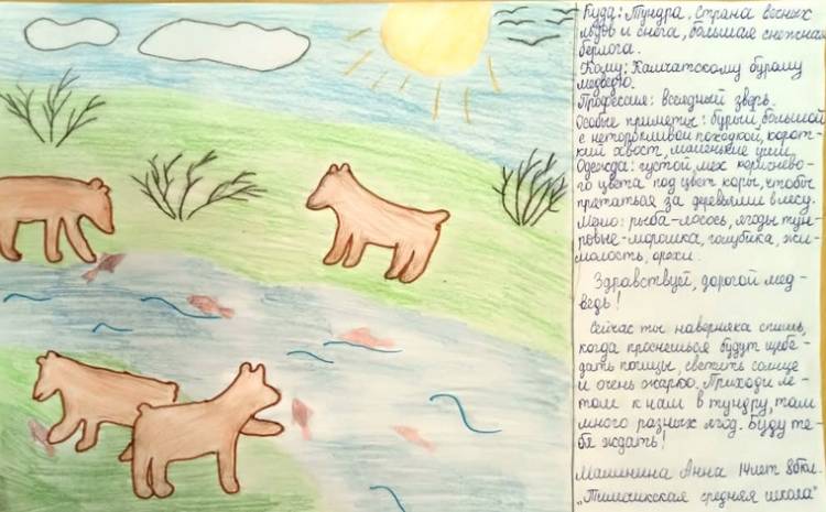 Камчатские школьники написали письма животным Корякского заповедника